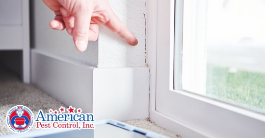 Person pointing at crack in the wall of a residential property
