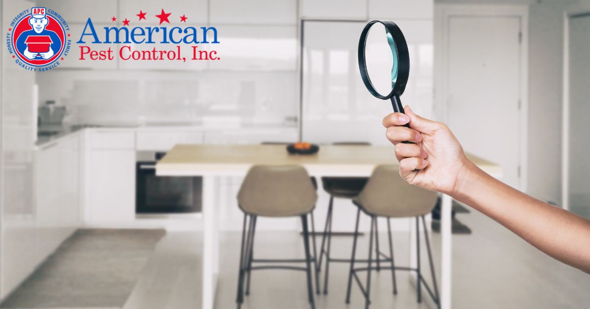 The Importance of Regular Pest Inspections