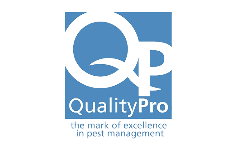 What Is QualityPro?
