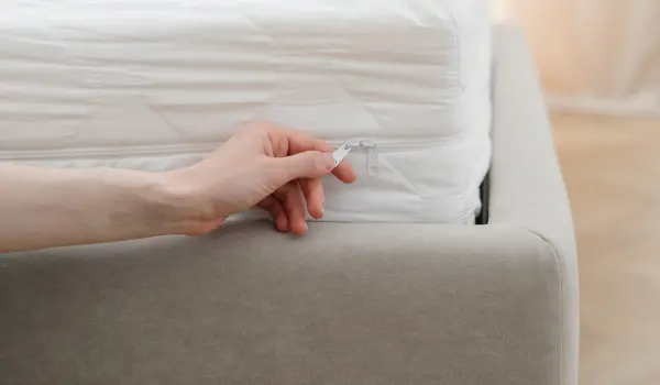 Enclosing a mattress in a protective cover to prevent bed bugs