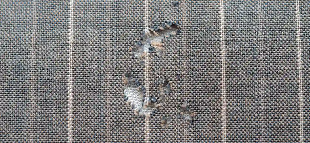 Closeup of moth damage in a couch. Contact American Pest Control, Inc. if you discover irregular and inexplicable holes in the fabrics of your Athens, GA home.