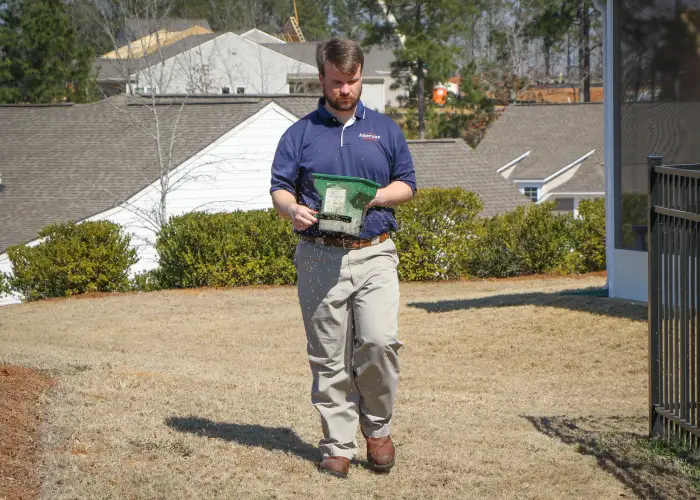 An American Pest Control, Inc. technician spreading granular flea insecticide in an Athens, GA yard