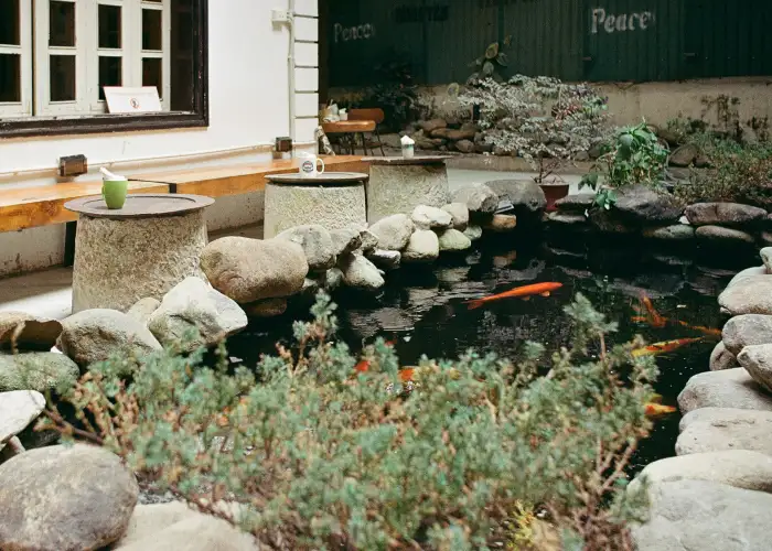 A koi pond in an Athens, GA backyard. Standing water, such as fountains and ponds, attract mosquitoes in yards.
