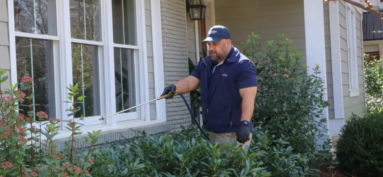An American Pest Control, Inc. technician sprays mosquito larvicide around an Athens, GA home