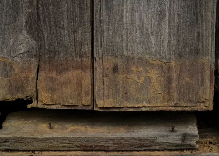 Damage from a powderpost beetle. These beetles attack wood, eventually weakening a building's structural integrity.