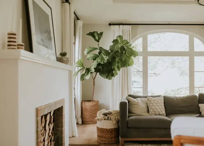 A termite-free Athens, GA home after termite treatment from American Pest Control, Inc.