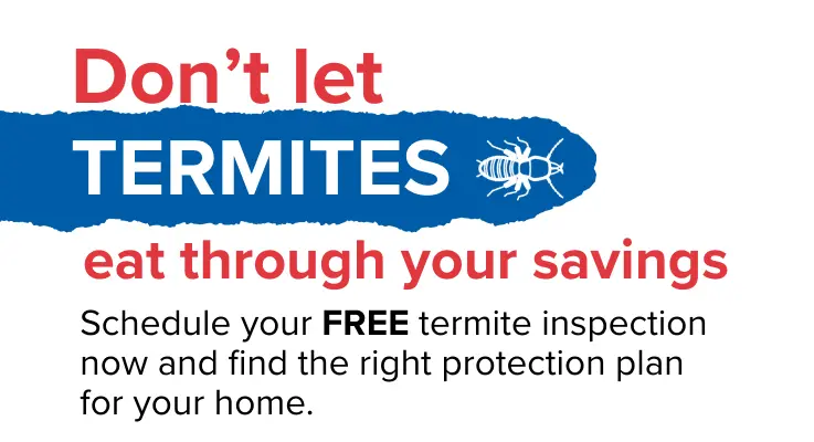 Don't let termites eat through your savings. Schedule your FREE termite inspection now and find the right protection plan for your home.