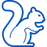 Pest Squirrel Icon
