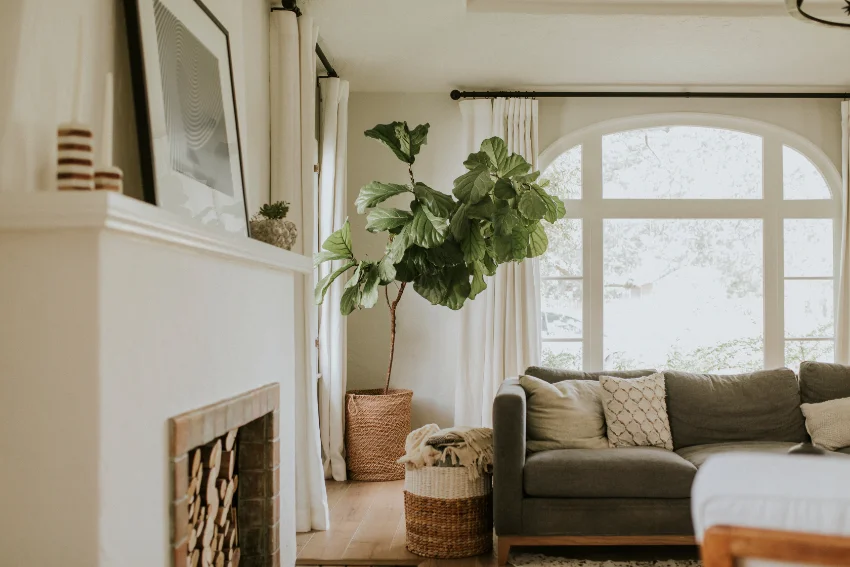 A pest free home, serviced by American Pest Control